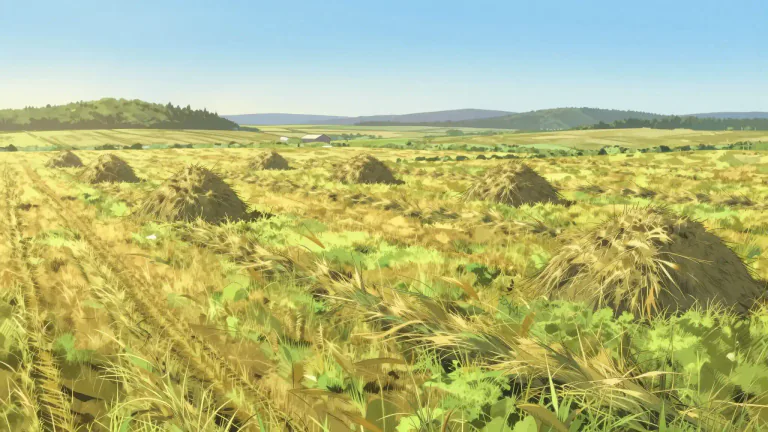 Visual representation of "hayfield" - A field where grass is grown specifically for making hay.