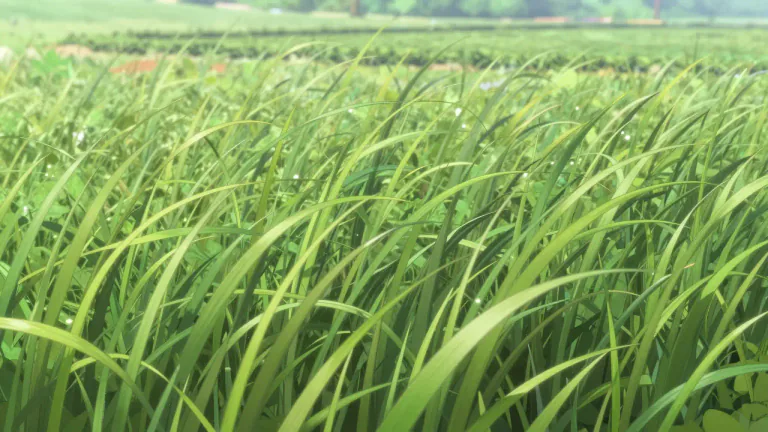 Visual representation of "ryegrass" - A type of grass that is commonly used for animal feed and as a turf grass for lawns or sports fields.