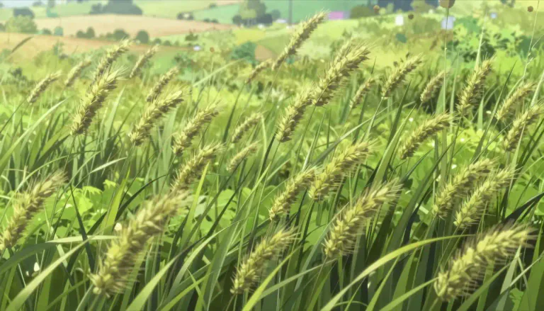 Visual representation of "timothy" - A type of grass commonly found in meadows and used especially for animal fodder.