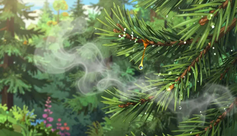 Visual representation of "terpene" - Terpenes are a large and diverse class of organic compounds, produced by a variety of plants, particularly those in the conifer family, and are known for their strong aroma.