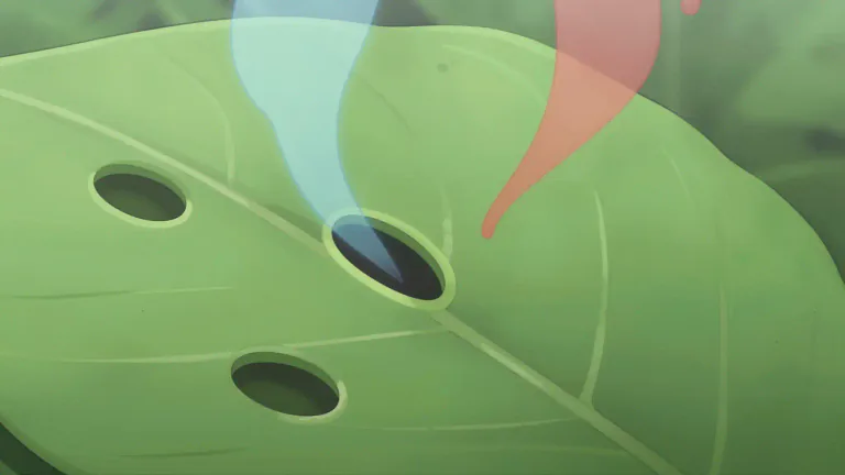 Visual representation of "stomatal" - Relating to the small openings in plant tissue that allow for gas exchange.