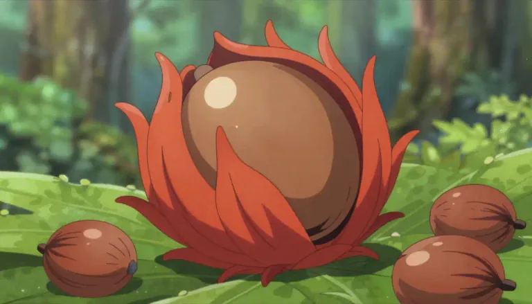 Visual representation of "aril" - A specialized outgrowth from a seed, typically fleshy, which can aid in the dispersal of the seed.