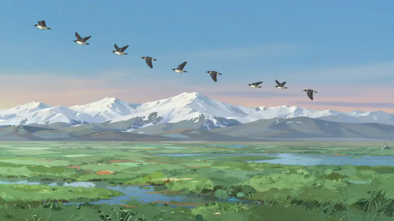 Visual representation of "migratory" - Moving from one place to another regularly, usually as part of a natural process.