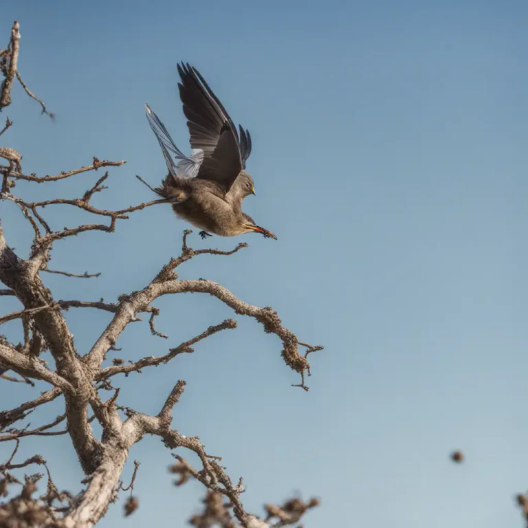 Visual representation of "take flight" - To start flying