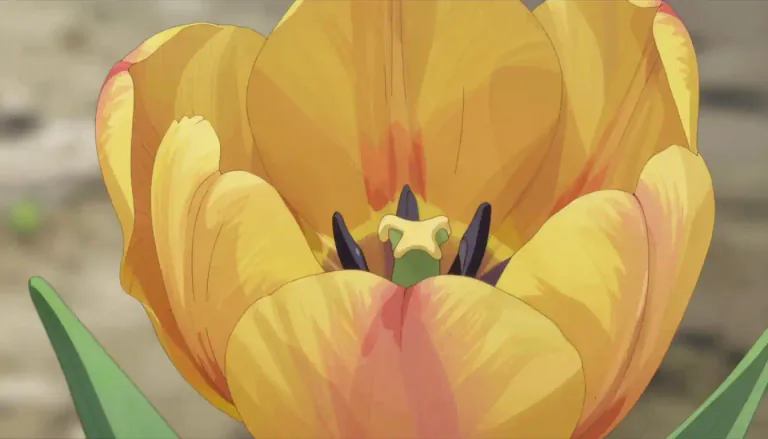 Visual representation of "perianth" - The part of a flower that consists of the sepals and petals together.