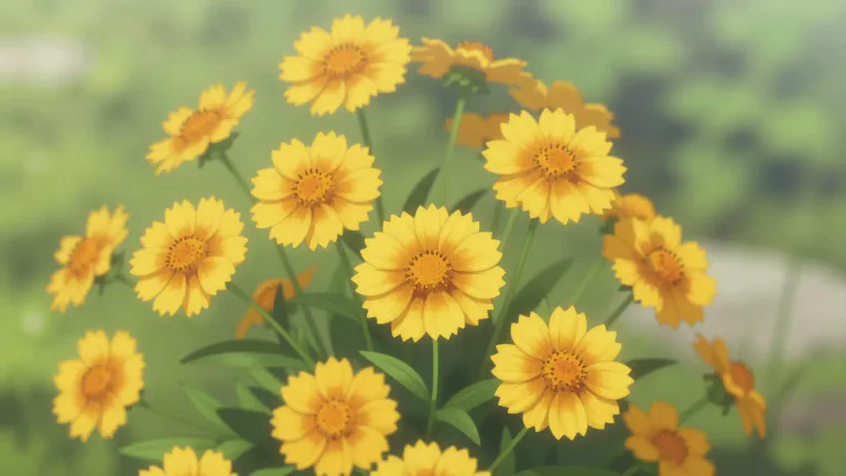 Visual representation of "coreopsis" - Coreopsis is a genus of flowering plants in the family Asteraceae, characterized by their daisy-like flowers.