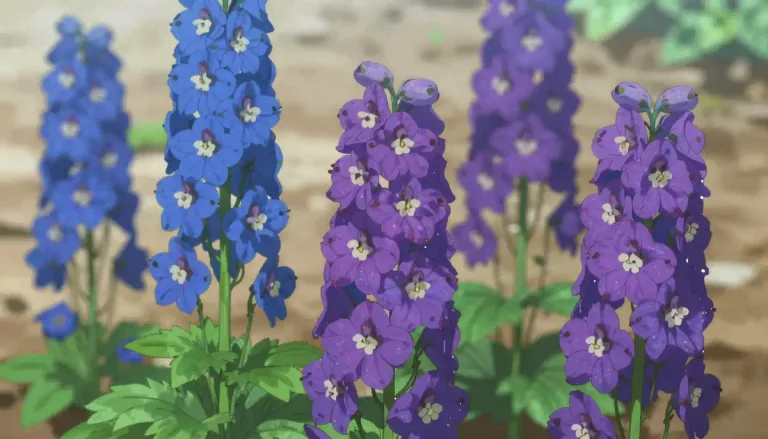 Visual representation of "delphinium" - A plant of the genus Delphinium, typically having tall spikes of blue or purple flowers.