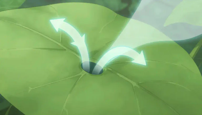Visual representation of "stoma" - A small opening, like a mouth, in a plant or an animal that allows gas or liquid to pass in or out.