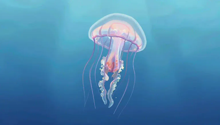Visual representation of "cnidarian" - Cnidarians are a diverse group of aquatic animals that are characterized by their radial symmetry and tentacles bearing stinging cells.