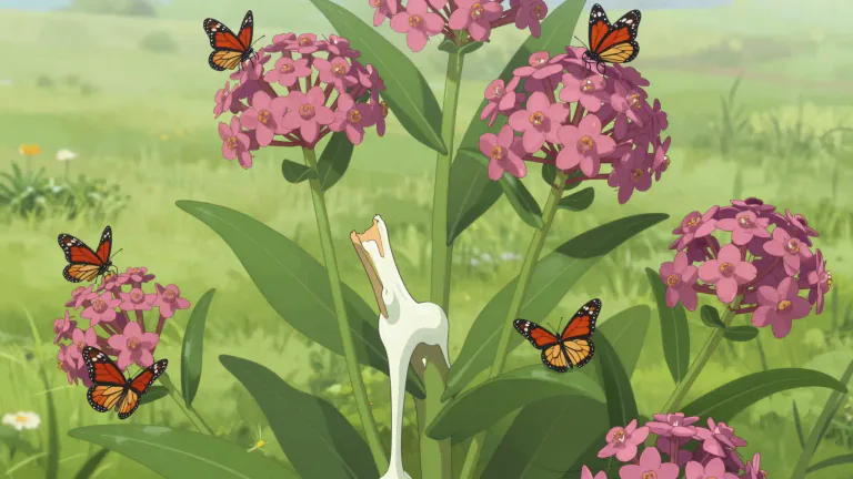 Visual representation of "milkweed" - A plant that produces a milky sap and is typically found in North America, known for attracting certain insects, especially monarch butterflies.