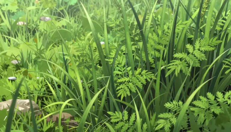 Visual representation of "fescue" - A species of grass that typically grows in long, dense tufts and has a wide range of ecological uses.