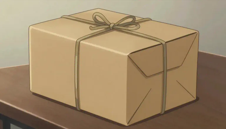 Visual representation of "package" - A bundle of something, typically wrapped in a box or bag