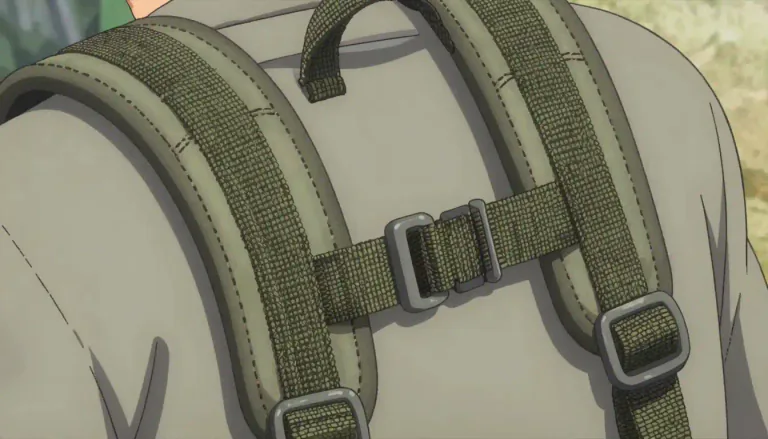 Visual representation of "webbing" - A strong, woven material used in furniture, bags, or as a support in clothing.
