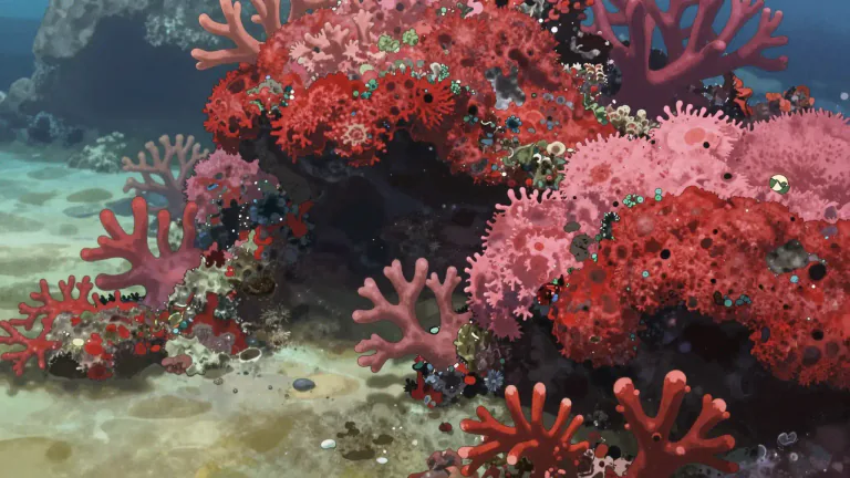 Visual representation of "coralline" - A type of red algae, often forming hard calcareous deposits, known for contributing to coral reef structures.