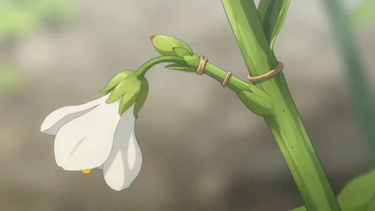Visual representation of "abscission" - The process by which a part of a plant becomes detached, especially at an anatomical point known as the abscission zone.