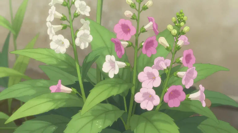 Visual representation of "nicotiana" - A genus of flowering plants in the family Solanaceae, which includes species like tobacco, known for their ornamental and economic values.