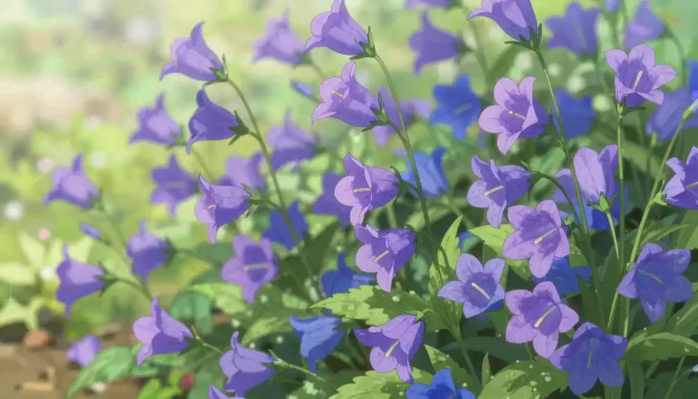 Visual representation of "campanula" - A genus of flowering plants known for their bell-shaped flowers, commonly found in gardens.