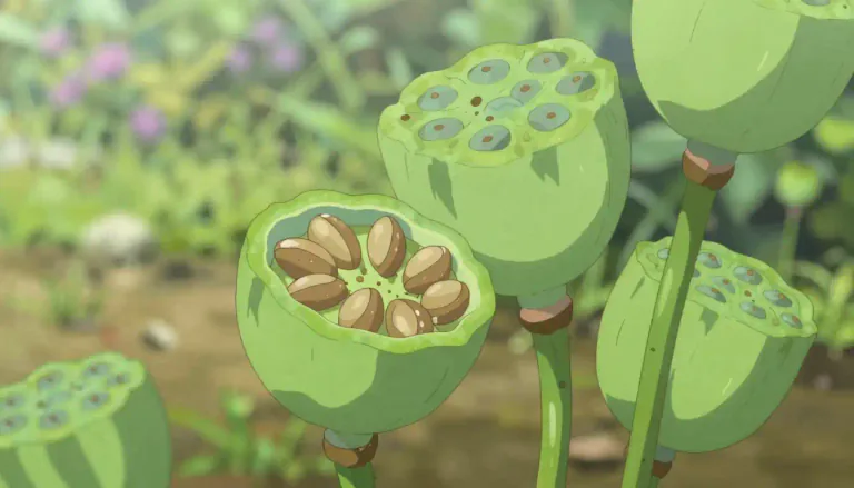 Visual representation of "seedpod" - A seedpod is the part of a plant that contains and protects its seeds until they are ready to grow.