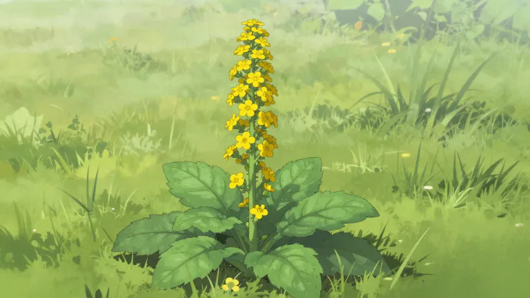 Visual representation of "mullein" - A tall plant with large leaves and a spike of yellow flowers, often found in the wild.