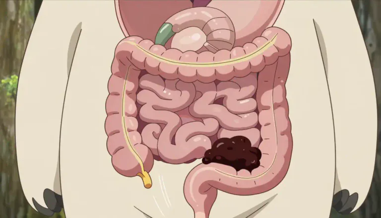 Visual representation of "hindgut" - The hindgut is the final part of the digestive tract, where the waste material is processed before excretion.