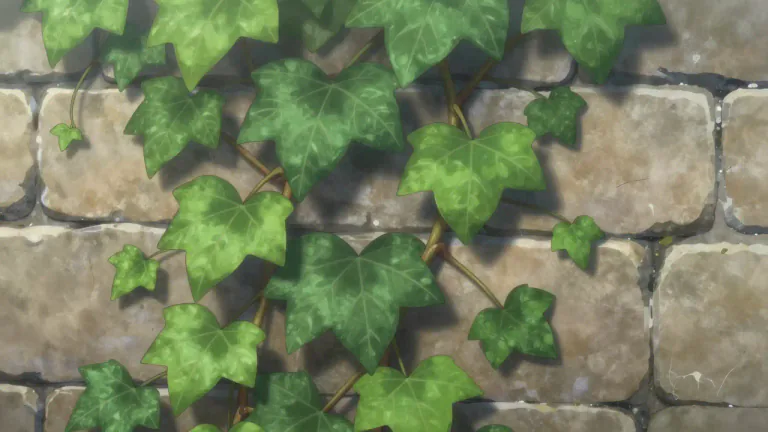 Visual representation of "ivy" - A type of plant that clings onto walls or trees and has dark green, shiny leaves.