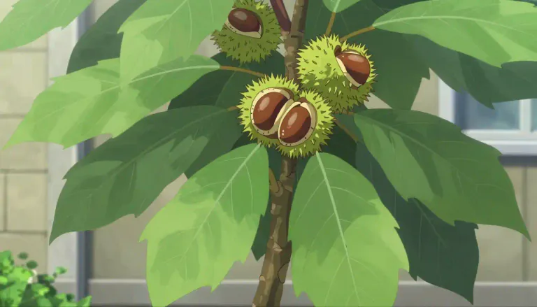Visual representation of "buckeye" - A type of tree or shrub that is native to North America and has shiny seeds.