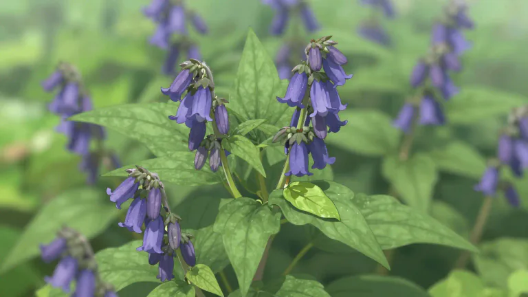 Visual representation of "comfrey" - A plant that has bell-shaped flowers and is sometimes used in medicine