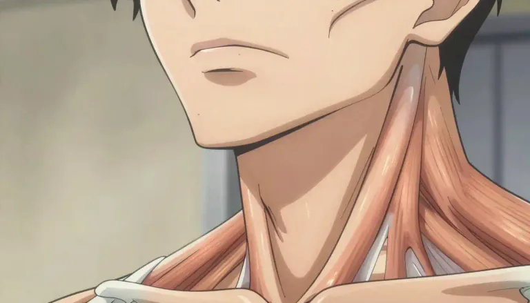 Visual representation of "platysma" - Platysma is a superficial muscle of the neck, extending from the jaw to the collarbone, involved in facial expressions.