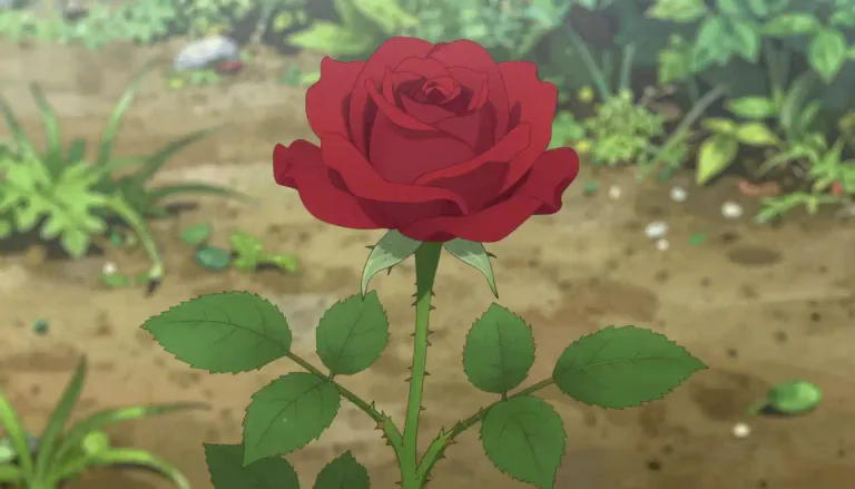 Visual representation of "rose" - A type of flowering plant with sharp points on its stem.
