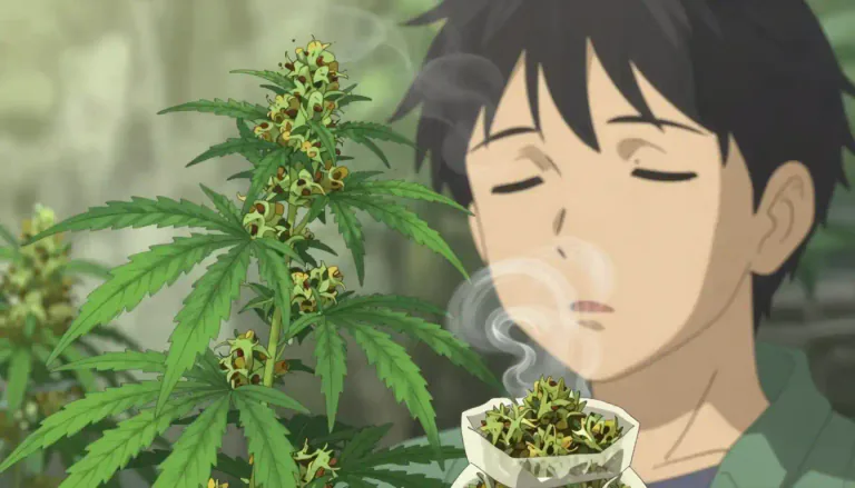Visual representation of "marijuana" - A type of drug that comes from a specific plant and can alter mind functions.