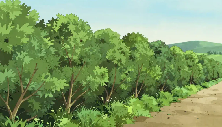Visual representation of "hedgerow" - A line of bushes or small trees planted close together, usually around a field or garden