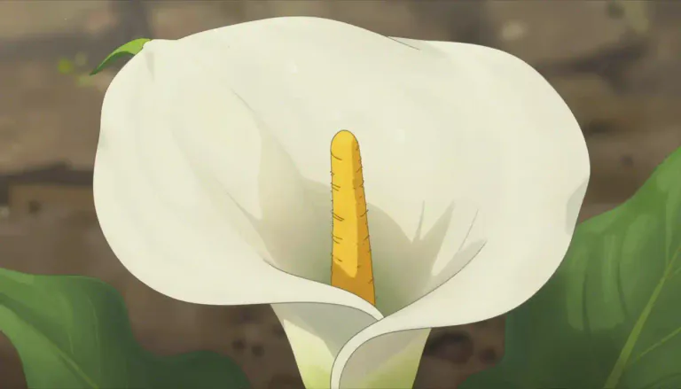 Visual representation of "spathe" - A spathe is a large bract that envelops or subtends a flower or flower cluster, typically found in certain plants.