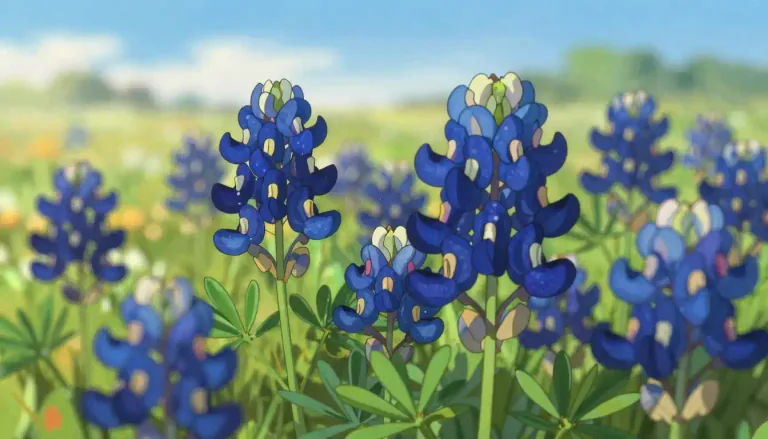 Visual representation of "bluebonnet" - A flowering plant native to Texas, known for its blue petals and as the state flower.