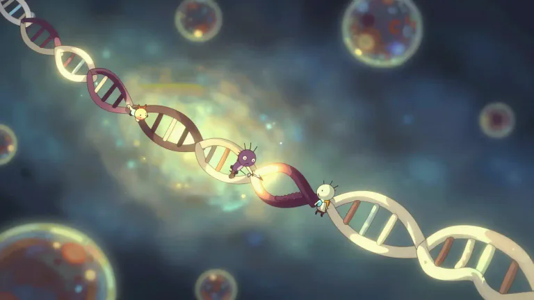 Visual representation of "intron" - A sequence within a gene that is removed during the processing of the precursor messenger RNA.