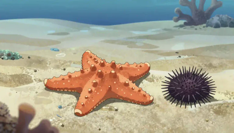 Visual representation of "echinoderm" - A marine animal that has a hard, spiny skin, is radially symmetrical, and belongs to the class Echinodermata, including starfish and sea urchins.