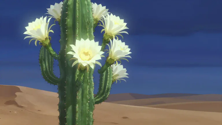 Visual representation of "cereus" - A type of cactus belonging to the genus Cereus, known for tall, columnar growth and blooming flowers.