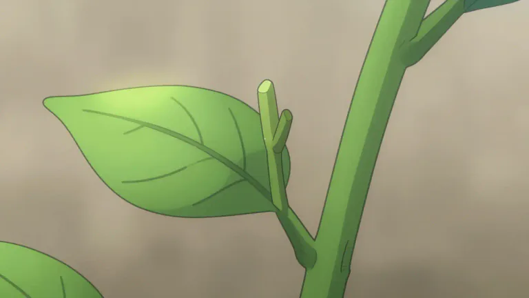 Visual representation of "axil" - The angle formed between a leaf or branch and the stem from which it arises.