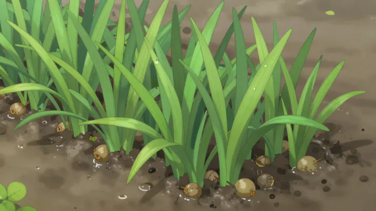 Visual representation of "nutsedge" - Nutsedge is a type of weedy plant that resembles grass and is known for its ability to thrive in moist conditions.