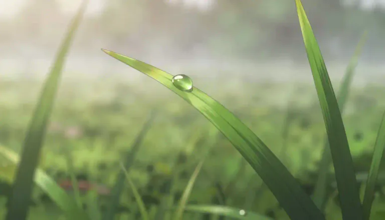 Visual representation of "dewdrop" - A tiny drop of water that forms on a cool surface during the night