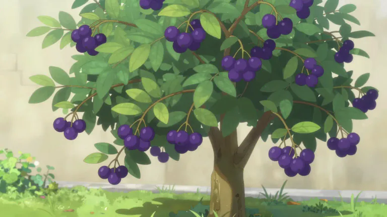 Visual representation of "elderberry" - A type of small tree that produces small purple berries.