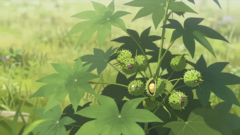 Visual representation of "castor" - A plant that produces seeds used to make castor oil.