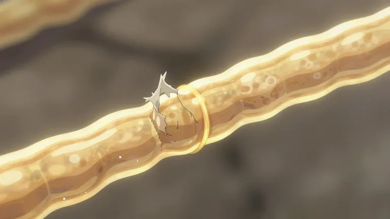 Visual representation of "myelin" - A fatty substance that encloses nerve fibers in the body.