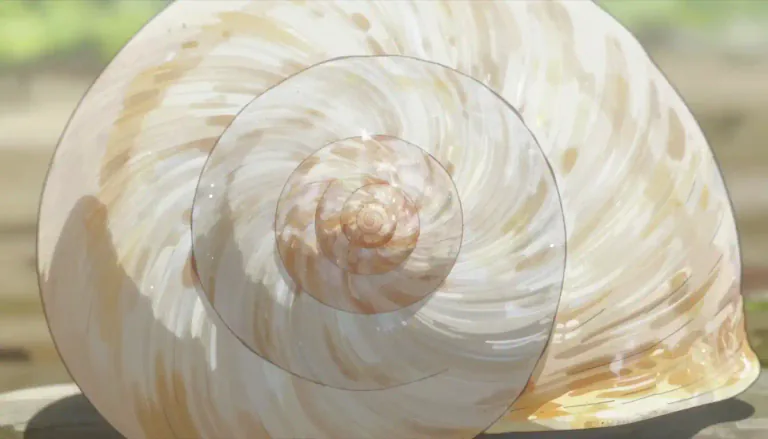 Visual representation of "whorl" - A spiral or circular pattern or shape