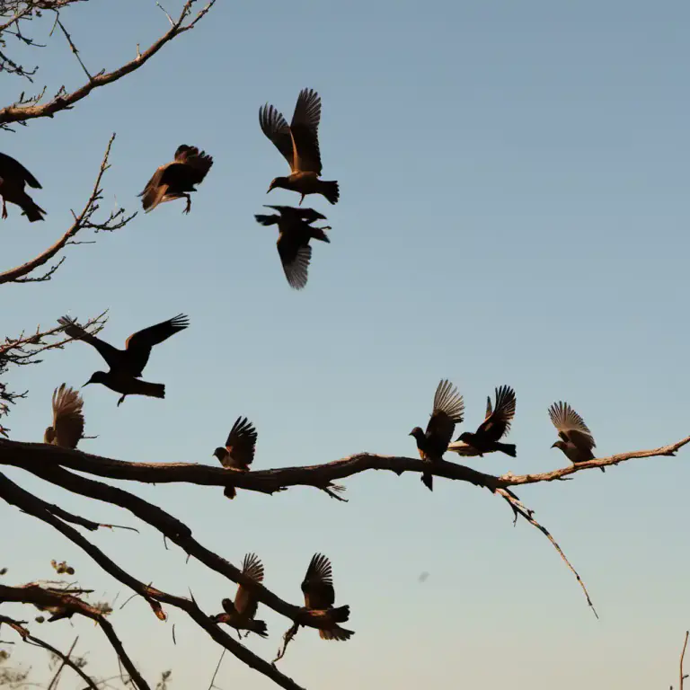 Visual representation of "take wing" - To start flying