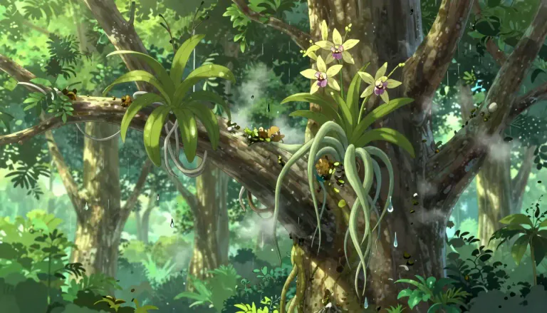 Visual representation of "epiphyte" - A plant that grows on another plant, deriving its moisture and nutrients from the air, rain, or debris that collects on the host plant.
