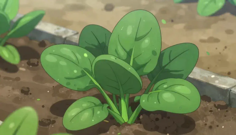 Visual representation of "spinach" - A type of plant with dark green leaves that we eat as a vegetable