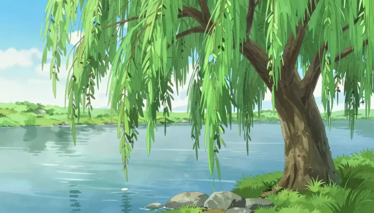 Visual representation of "willow" - A type of tree or bush that has long, slender leaves and grows near water.