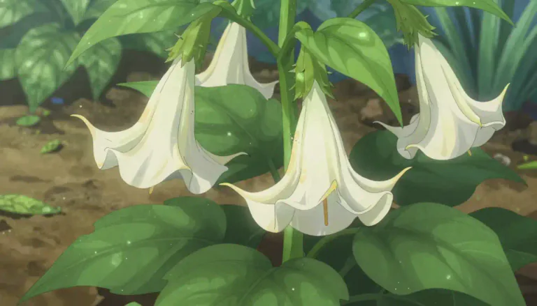 Visual representation of "datura" - A plant from the genus Datura known for its large, funnel-shaped flowers and toxic properties.