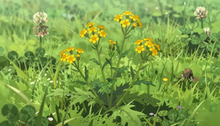 Visual representation of "groundsel" - A kind of weedy plant with yellow flowers.