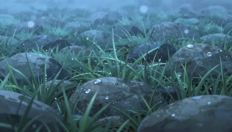 Visual representation of "dew" - Small drops of water that form on cool surfaces at night, when atmospheric vapor condenses.